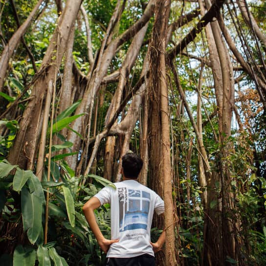 Mindful city - Walk and Talk with nature