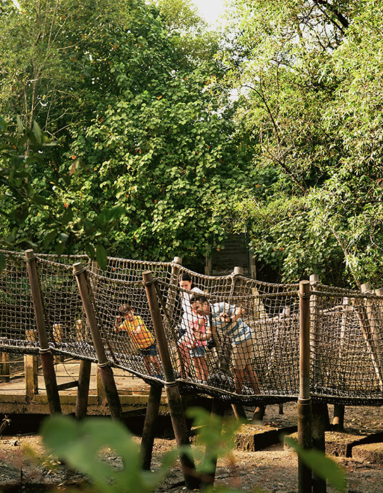Enjoy nature at Sungei Buloh