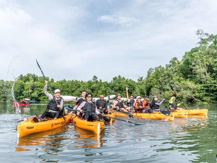 Mangrove Kayaking - All day activity