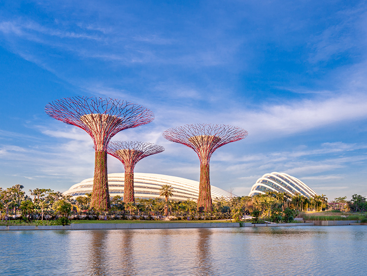 Gardens by the Bay Supertree Grove