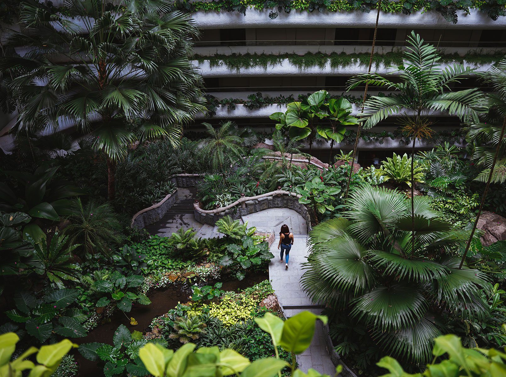 Itinerary for 24 hours in Singapore