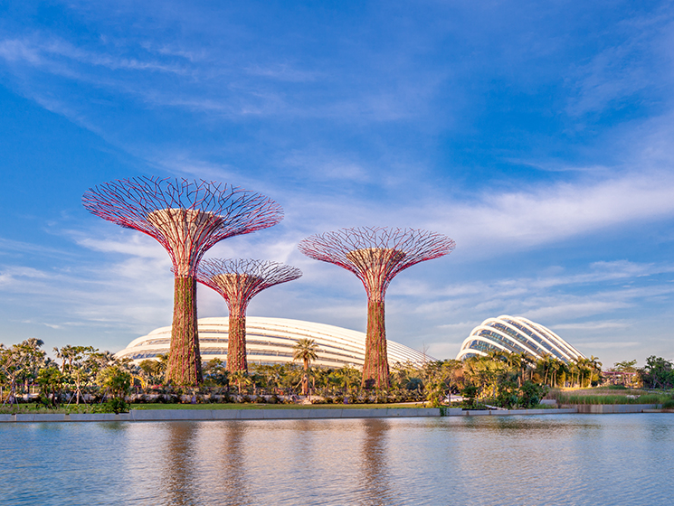 Gardens by the Bay Supertree Grove