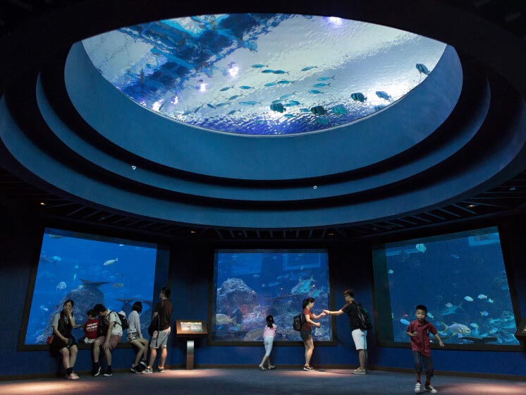 S.E.A. Aquarium of Singapore