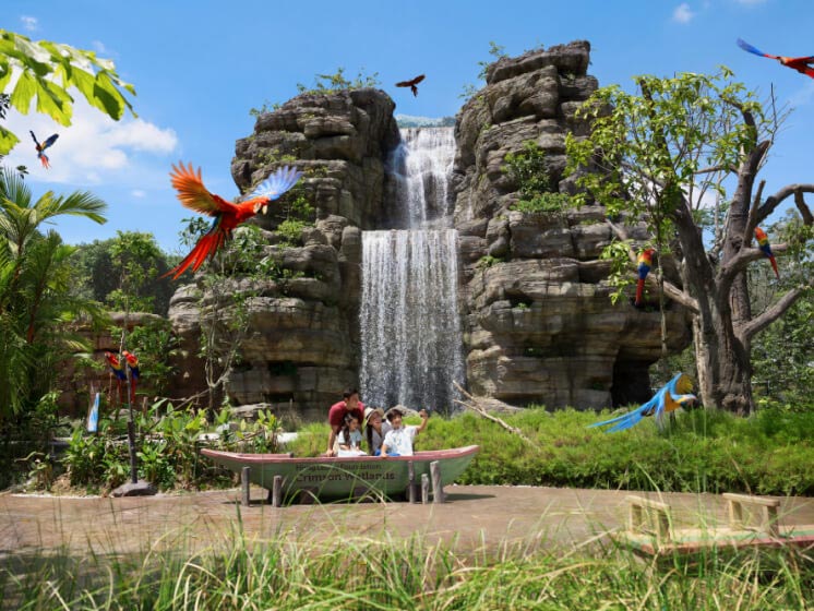 Mandai Bird Paradise - Water Foundation