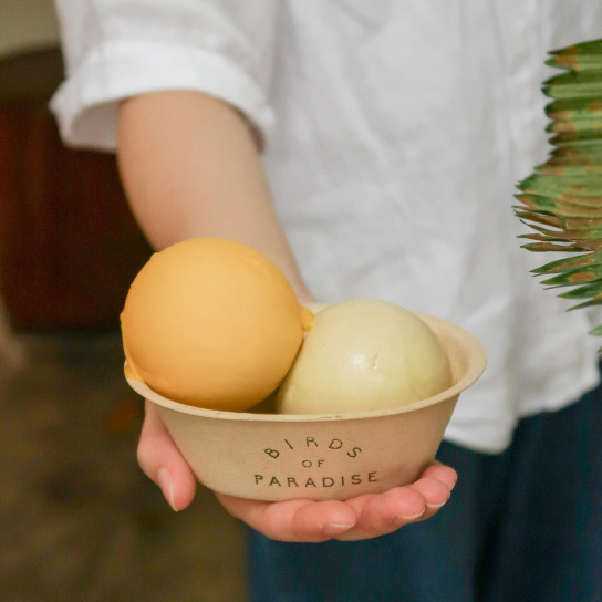 Bird of Paradise ice-cream parlour