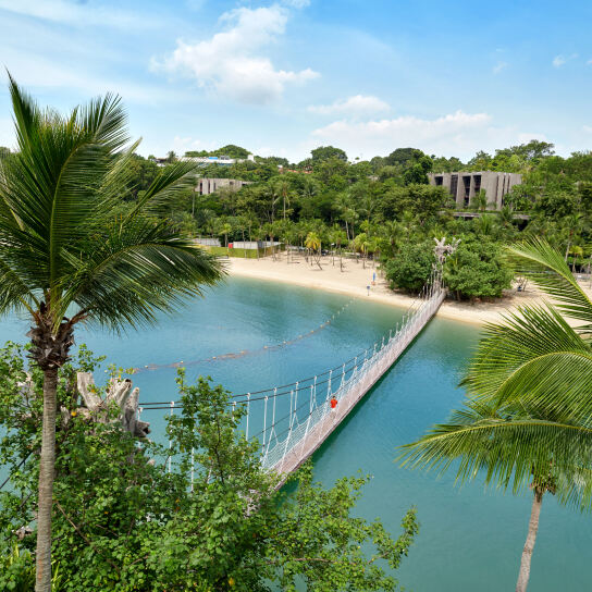 Drone view of Sentosa Island