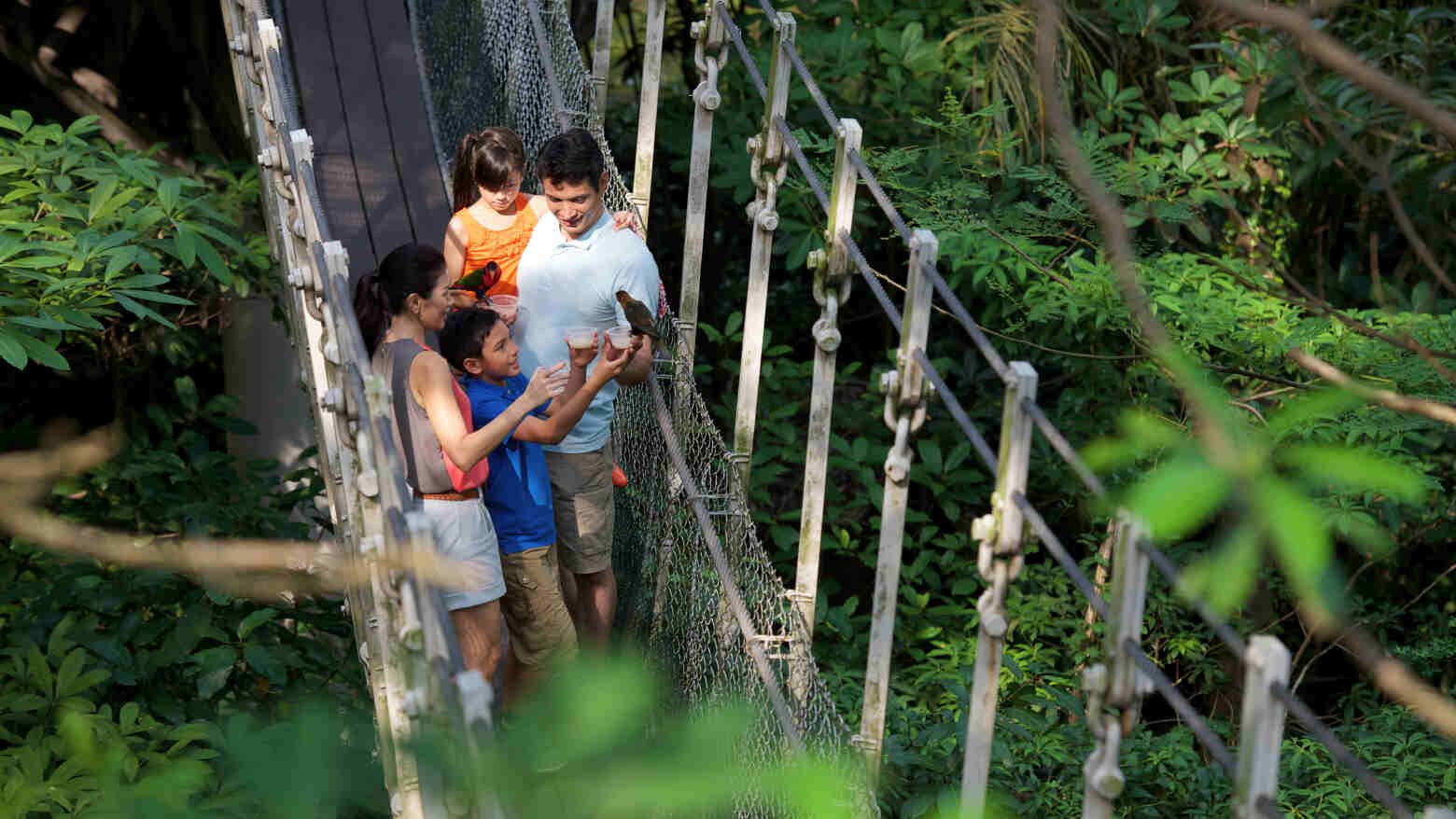 Explore the Family Getaways in Singapore