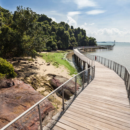 Intertidal ecosystem at Chek Jawa