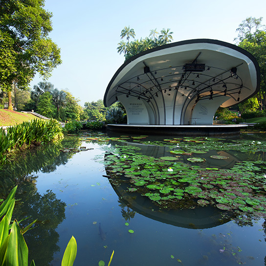 Singapore Botanic Gardens Pond