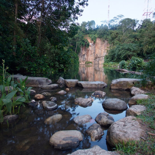 Bukit Timah Nature Reserve, Singapore