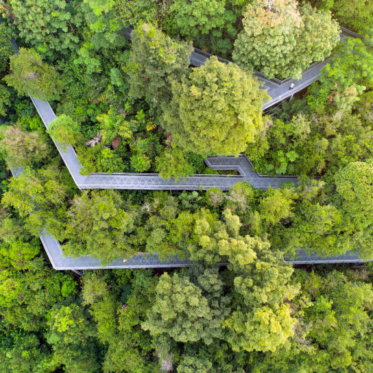 Drone View of The Southern Ridges Walking Trails