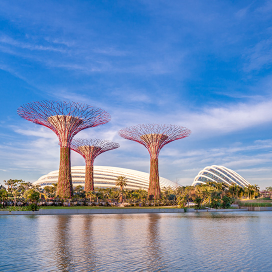 Gardens By The Bay Supertree Grove