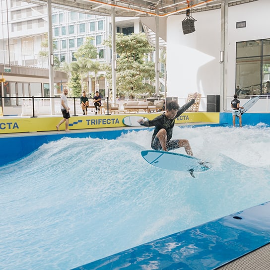 Trifecta, all in one skating destination