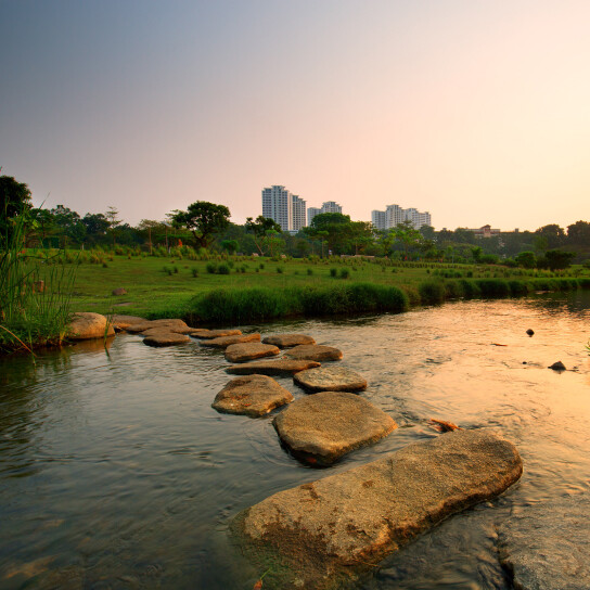 Bishan-Ang Mo Kio Park Landscape view