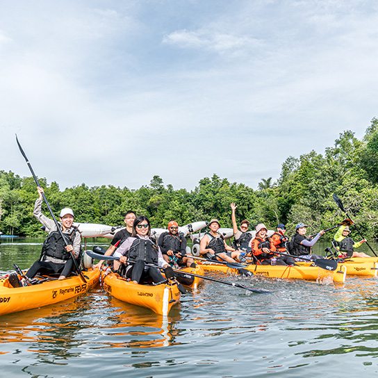 Mangrove Kayaking group