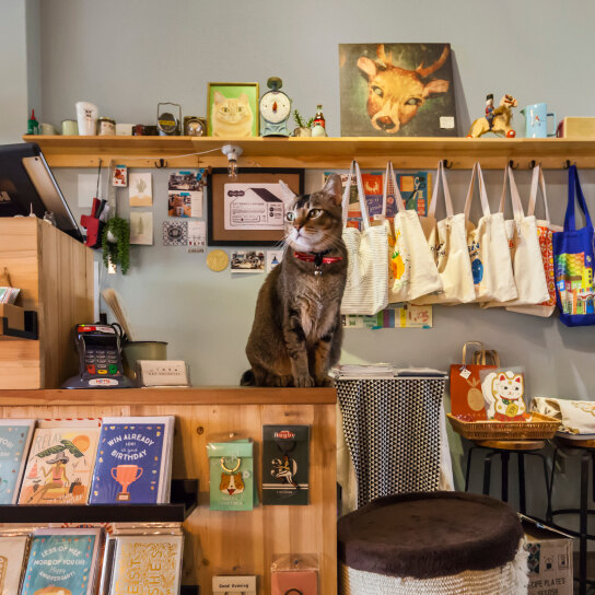 Shop at Cat Socrates for home decor