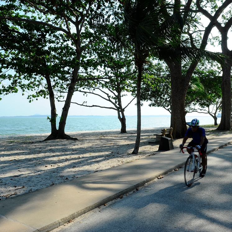 Ciclista en el camino costero de East Coast Park.
