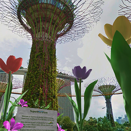 Gardens by the Bay