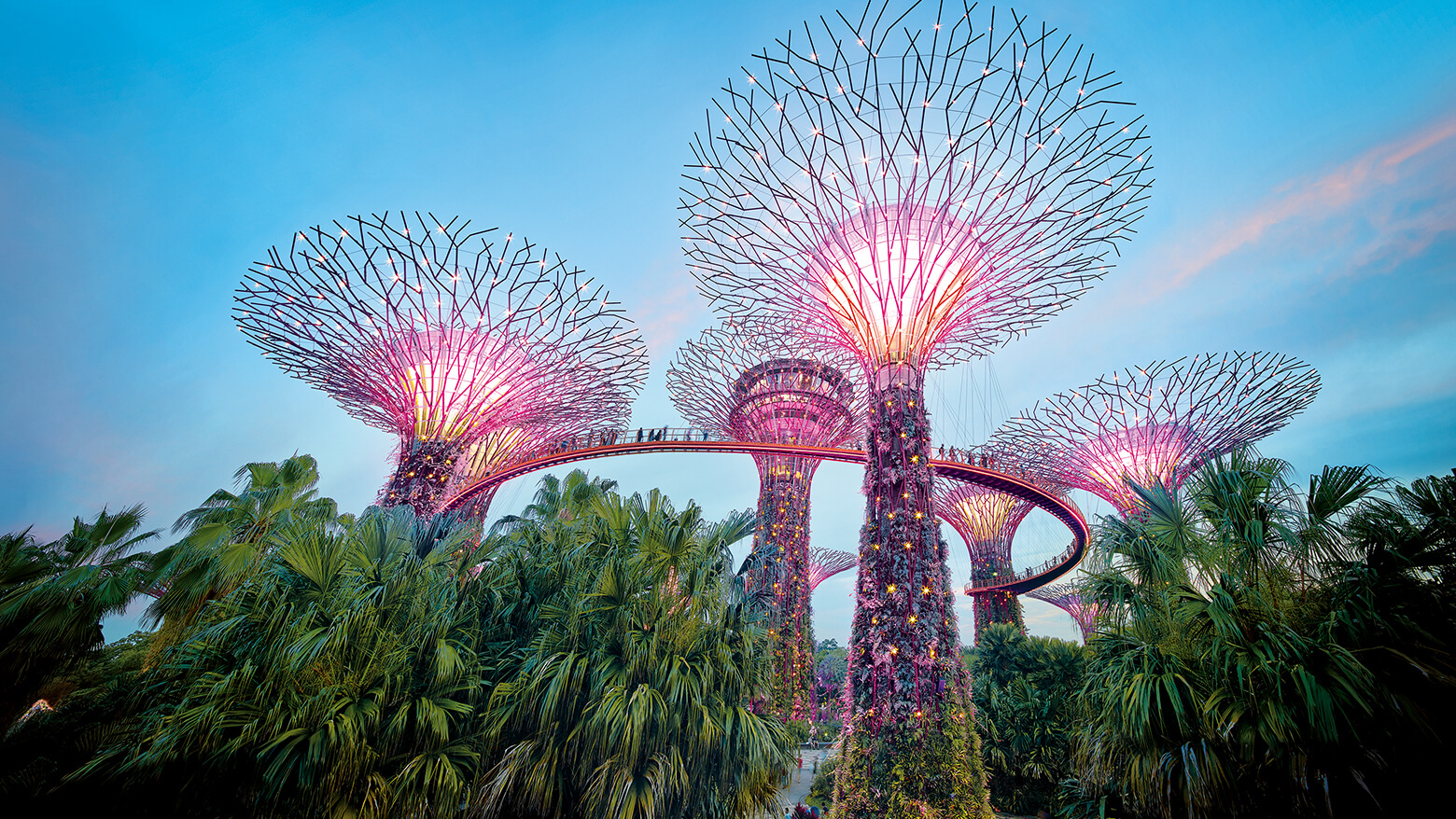  Memories. Made in Singapore.