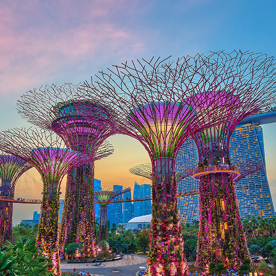 Sydney & Singapore Stopover Adventure