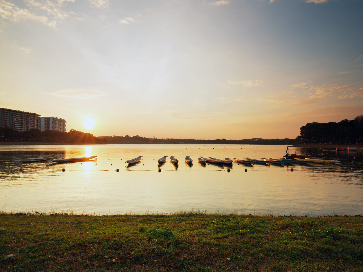 Bedok Reservoir hosting the Dragon boat race