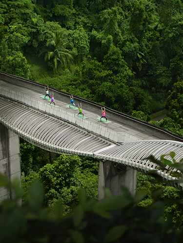 เที่ยวสิงคโปร์แบบผู้รู้จริง – Visit Singapore เว็บไซต์ทางการ เที่ยวสิงคโปร์แบบผู้รู้จริง – Visit Singapore เว็บไซต์ทางการ