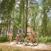 Fahrradfahrer genießen einen schönen Tag im idyllischen Coney Island Park