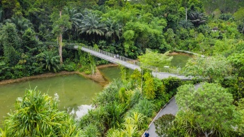 Learning Forest im Botanischen Garten von Singapur