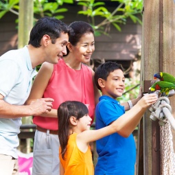 Eine Familie füttert Vögel im Jurong Bird Park.