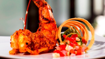 Probieren Sie authentisches indisches Essen im Song of India