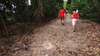 Ein Familienspaziergang auf dem MacRitchie Reservoir Trail Singapore