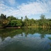 Schwanensee in den Singapore Botanic Gardens.