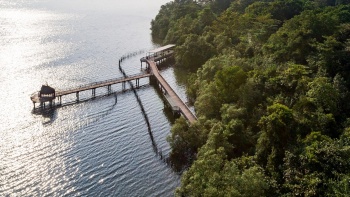 Luftaufnahme von Sungei Buloh 