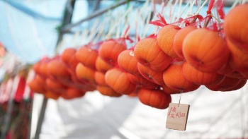 Mandarinen werden während des chinesischen Neujahrs verkauft
