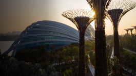 Luftansicht der Gardens by the Bay mit Cloud Forest, Flower Dome und Supertrees.