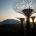 Luftansicht der Gardens by the Bay mit Cloud Forest, Flower Dome und Supertrees.