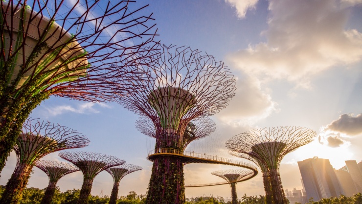 Majestätische und wunderschöne Supertrees in den Gardens by the Bay, Singapur
