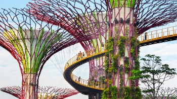 Menschen auf dem OCBC Skyway, einer Hängebrücke zwischen zwei Supertrees