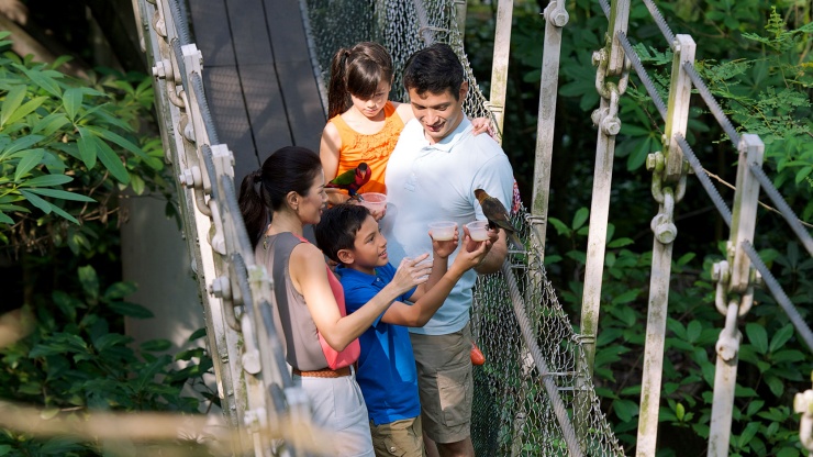 Eine Familie füttert einen Vogel im Jurong Bird Park