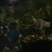 Eine Familie beobachtet einen malaiischen Tiger von der Tram aus in der Night Safari in Singapur 