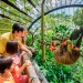 Touristen, Mutter und Tochter, die eine Giraffe im Singapore Zoo füttern.