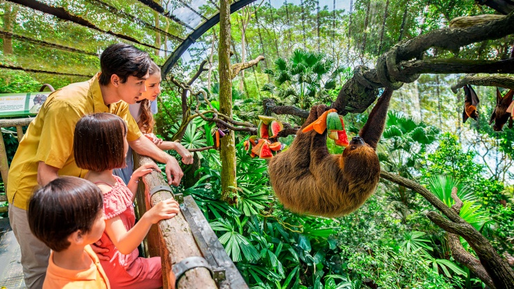 Schauen Sie sich unsere tollen Natur- und Tierattraktionen an – vielleicht finden Sie dabei sogar neue Freunde!