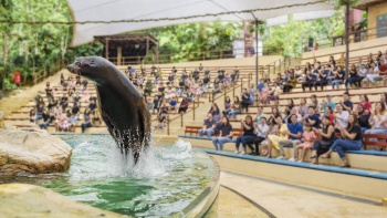 Tairee der weiße Tiger, ein virtuelles Maskottchen aus der Rainforest Lumina Show im Singapore Zoo