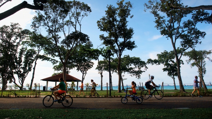 Radfahrer auf einem Radweg im East Coast Park.