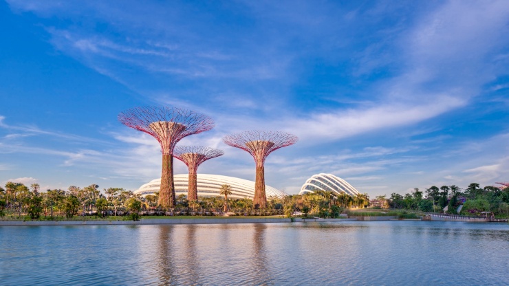 Weitwinkelaufnahme des Supertree Grove mit dem Flower Dome im Hintergrund