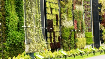 Im HortPark finden Sie alles rund ums Gärtnern - von Freizeit- und Bildungsangeboten bis hin zu Forschung und Einkaufsmöglichkeiten.