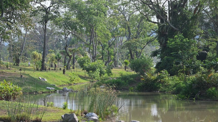 Aufnahme der Neram Streams in den Jurong Lake Gardens