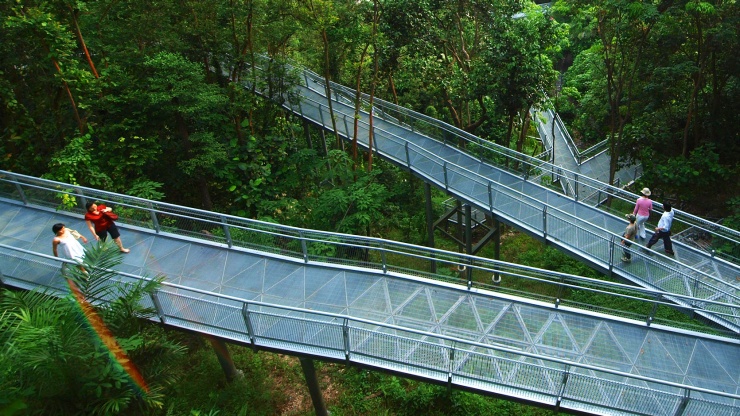 Kommen Sie der artenreichen Flora und Fauna in ihrer natürlichen Umgebung in diesem Garten in Singapur ganz nah.