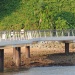 Das Labrador Nature Reserve in Singapore ist ein wunderschöner Park mit großer Artenvielfalt.