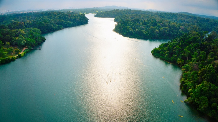 Luftbild des MacRitchie Reservoirs